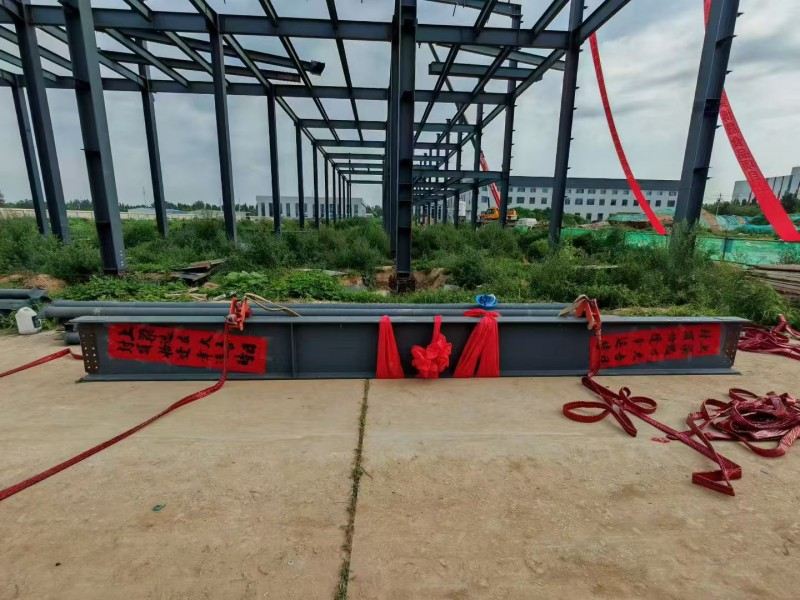 Yongcheng Xingye Steel structuram Company Accelerated Construction Hebei Bosheng Foodshop