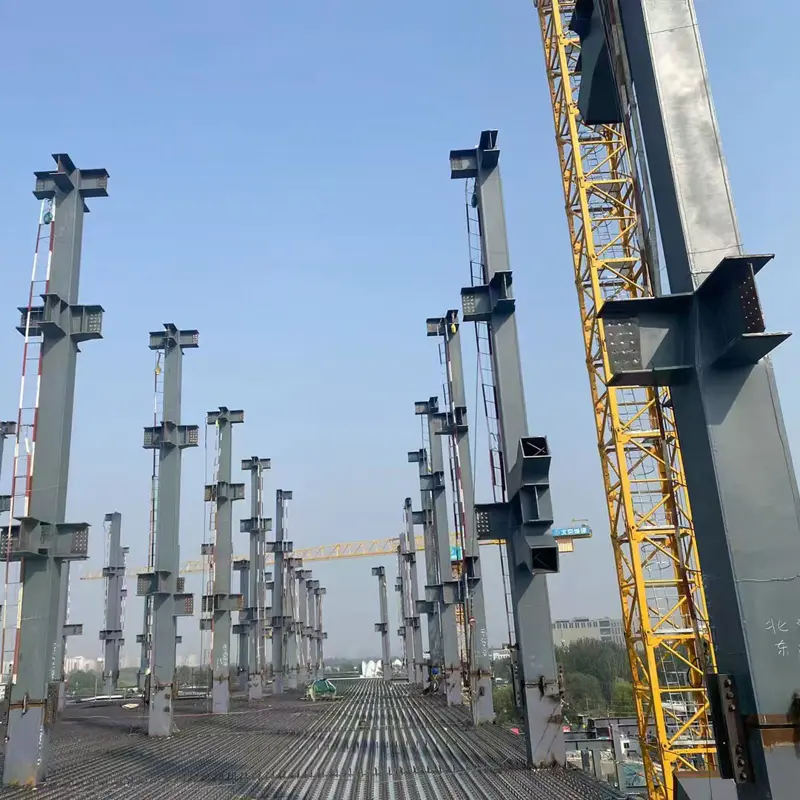 Chalybe columna